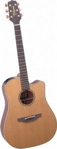 Takamine EAN10C