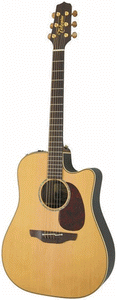 Takamine TAN15C