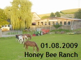 BnB - 01.08.09-2